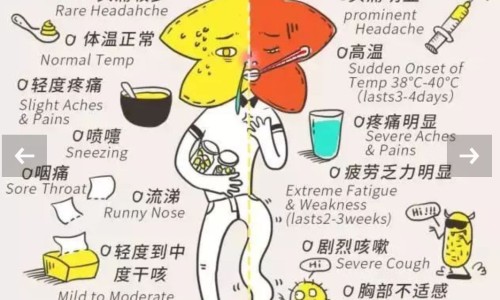 柿子叶药性-中药柿叶的副作用网 - 网站提供中药柿叶的副作用与禁忌小常识、中药柿叶的功效