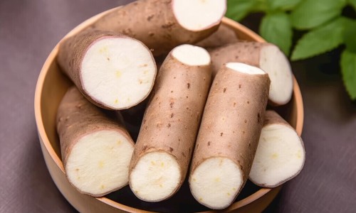 柿子叶药性-中药柿叶的副作用网 - 网站提供中药柿叶的副作用与禁忌小常识、中药柿叶的功效